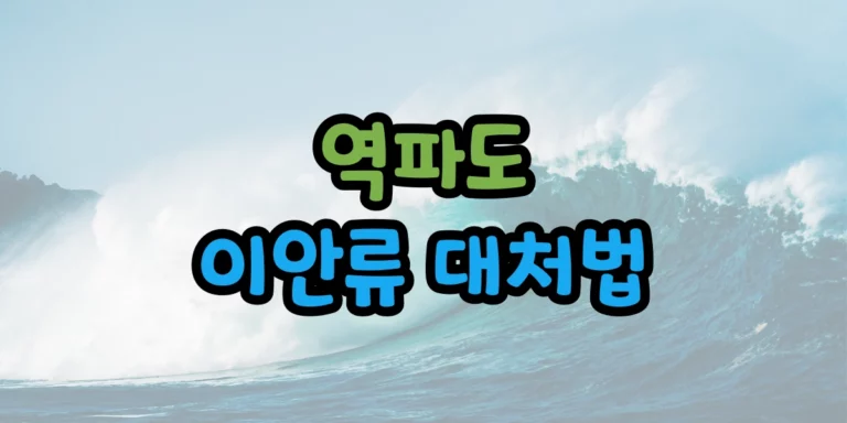 이안류 대처법