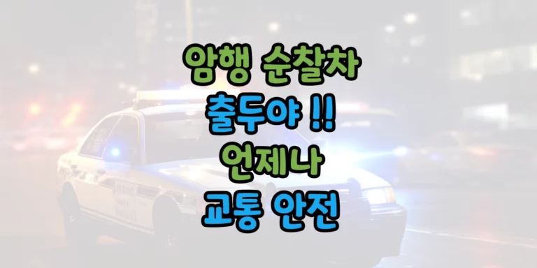 암행 순찰차 썸네일