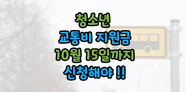 청소년 교통비 지원