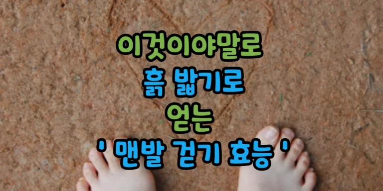 맨발 걷기 효능 썸.